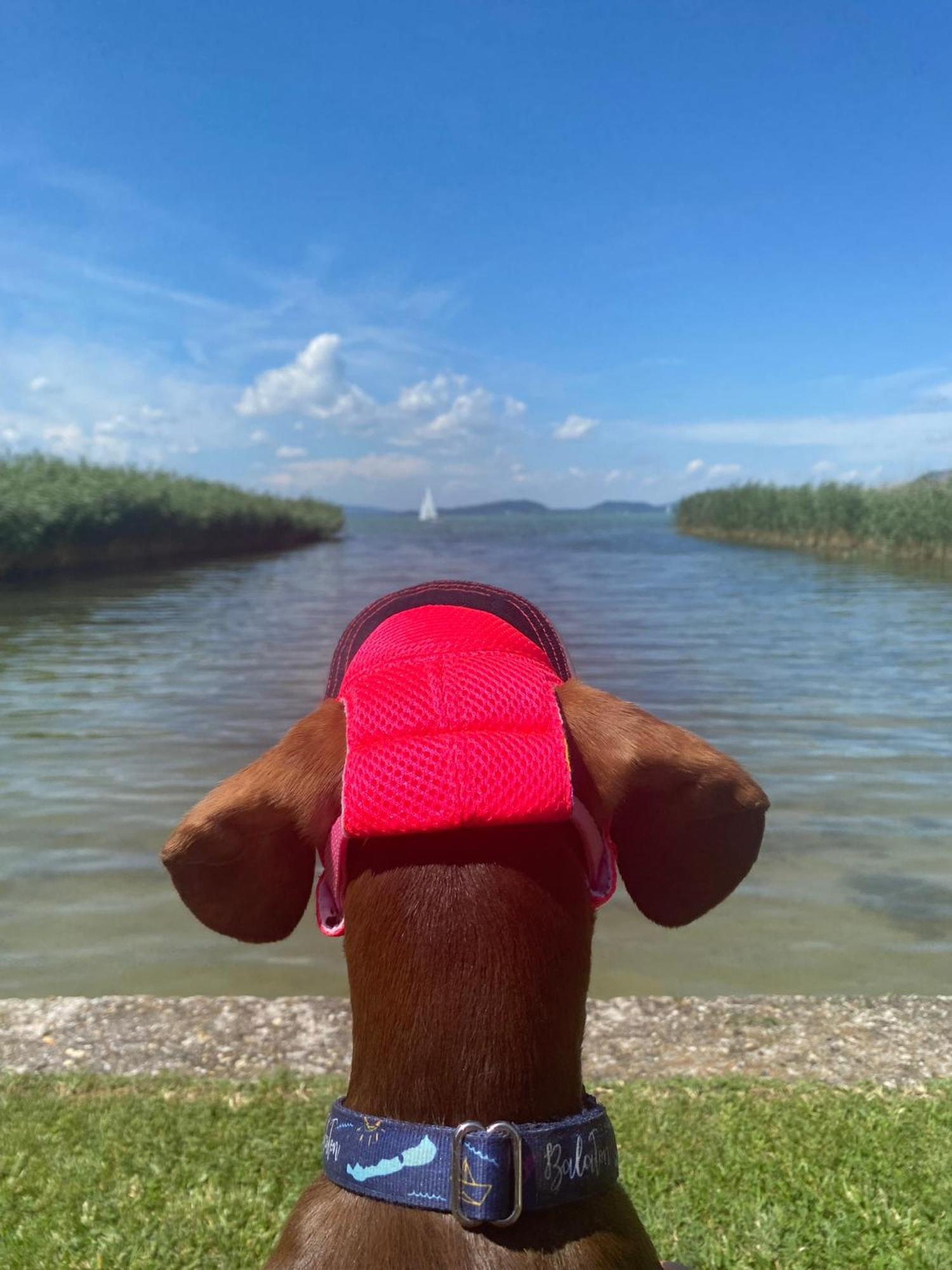 Balaton A Kertben - Közvetlen Vízparti Apartmanok, Csodálatos Panorámával *