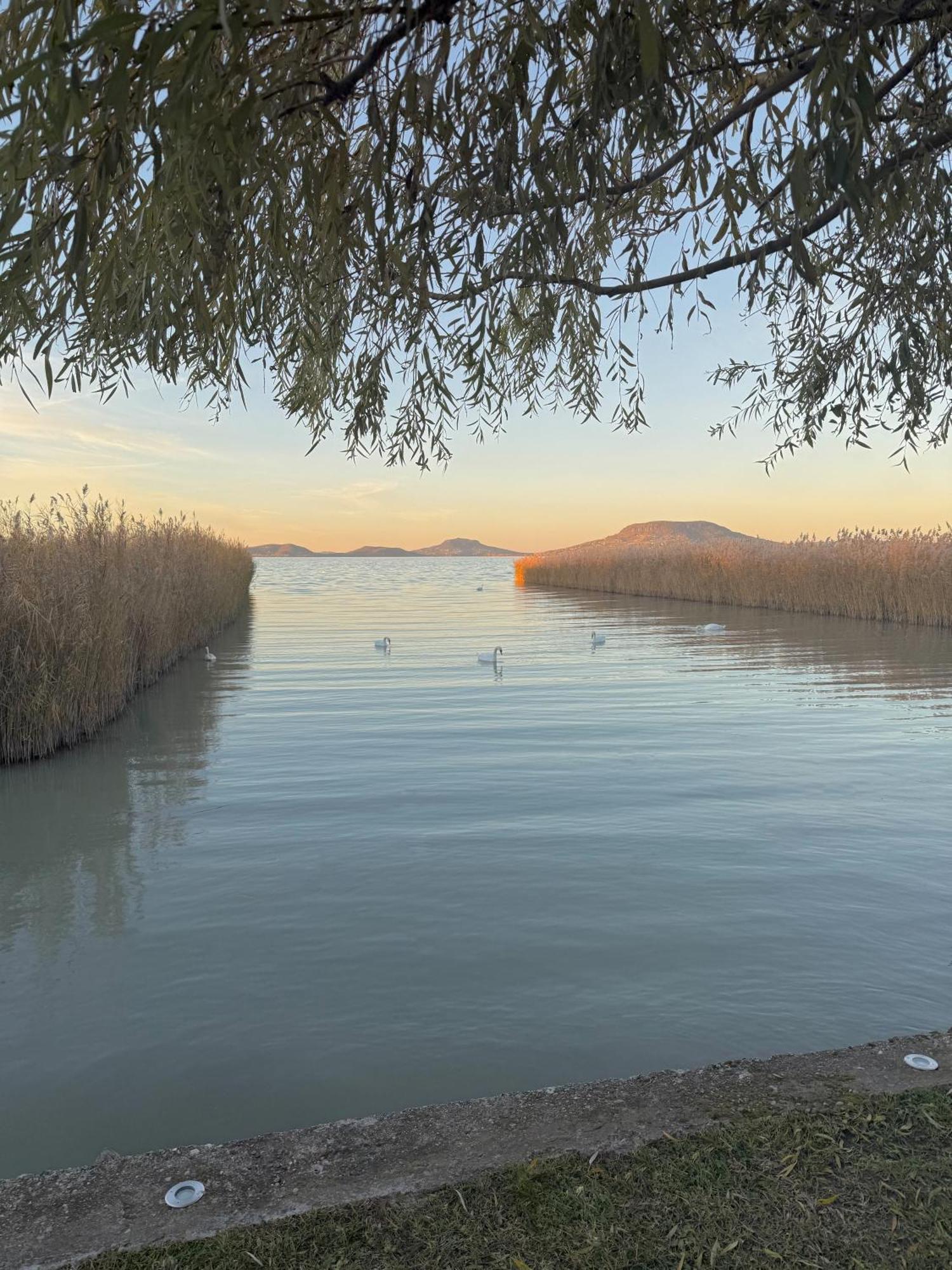 Balaton A Kertben - Balaton In The Garden - Beachfront With Beautiful View, Private Vakantiehuis Balatonfenyves